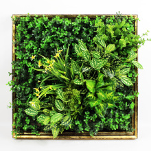 Heckenwand der neuen Entwurfsniedrigen Kosten-Kunst 3D Pflanzengrün für Dekoration